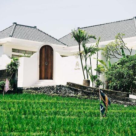 New Design Villa Casa Alma 3Bdr With Private Pool, Canggu エクステリア 写真